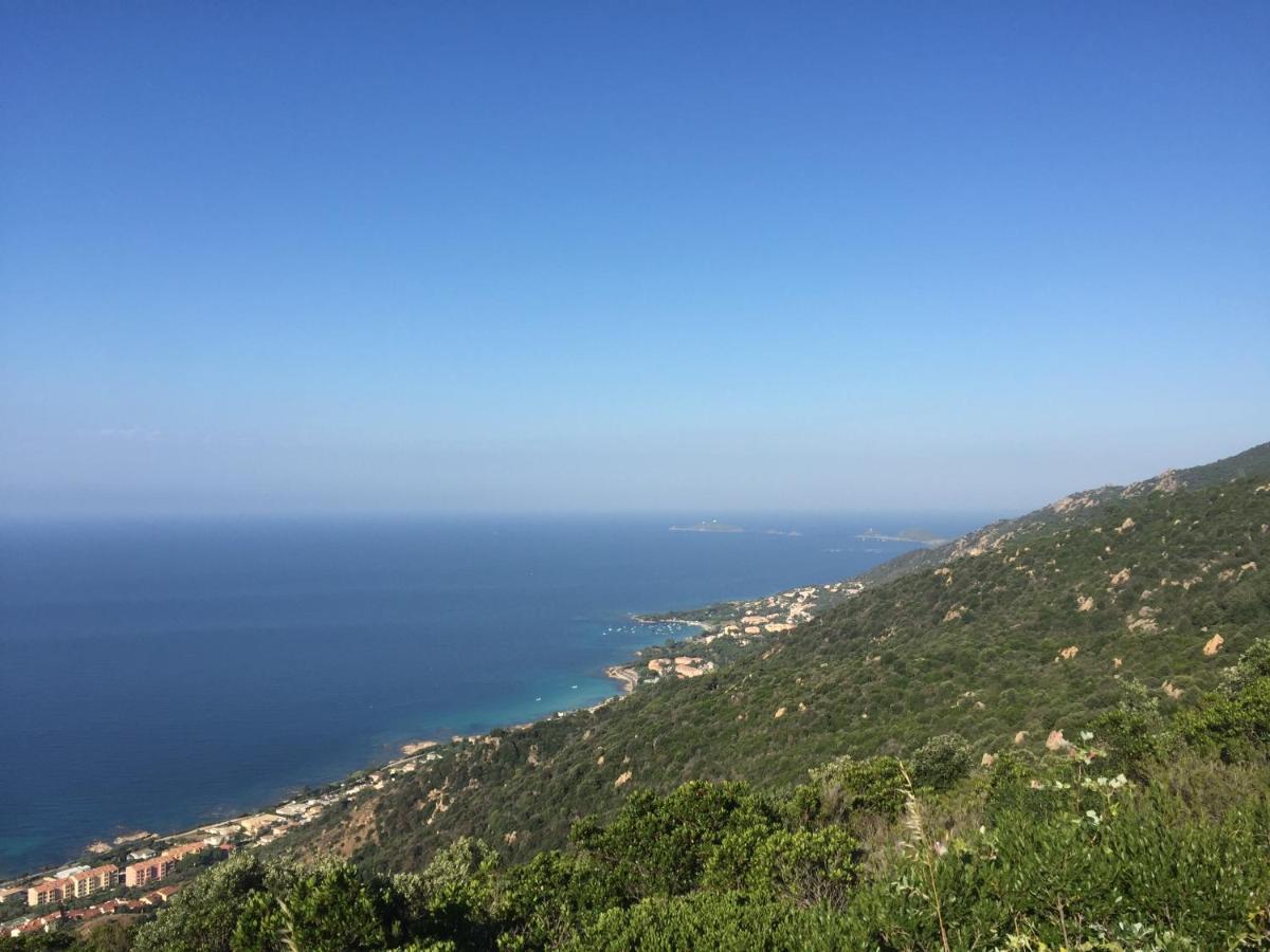Ajaccio Magnifique T2 37M2 Centre Ville Vue Mer Au Bord De La Plage Neuf 4 Couchages Balcon Parking Prive Ferme Clim Wifi エクステリア 写真