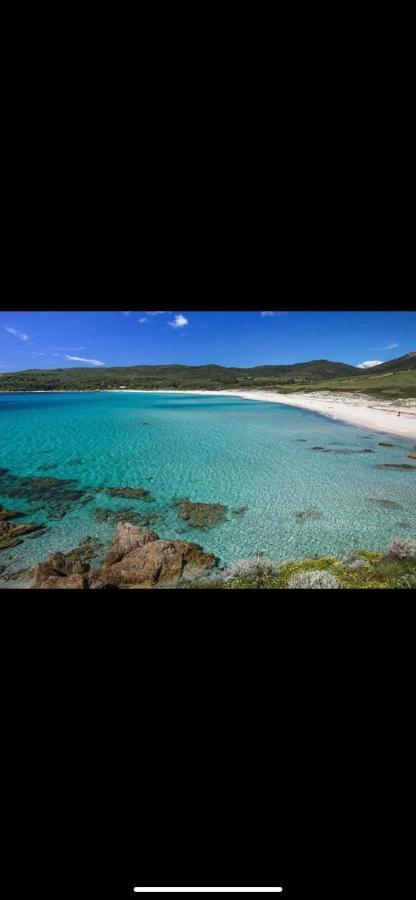 Ajaccio Magnifique T2 37M2 Centre Ville Vue Mer Au Bord De La Plage Neuf 4 Couchages Balcon Parking Prive Ferme Clim Wifi エクステリア 写真